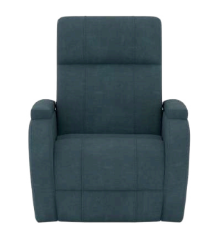 Director Recliner